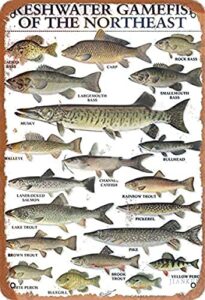 for tin signs freshwater gamefish of the northeast retro metal sign vintage aluminum sign for home coffee wall decor 8×12 inch
