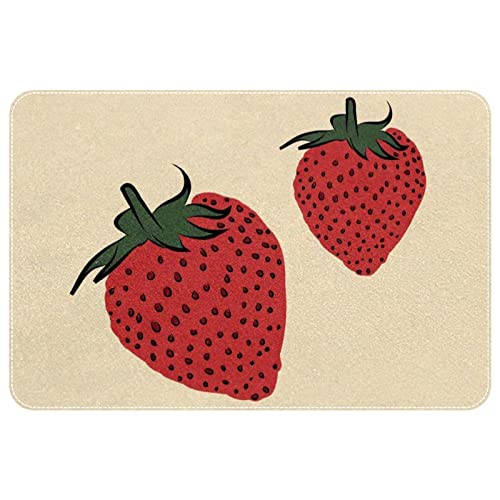 Strawberries, Indoor Door Mat Durable Front Door Mats Entryway Rug Non-Slip Absorbent Area Rugs Resist Dirt Rugs for Room Decor, 24"x16"