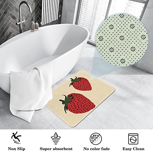 Strawberries, Indoor Door Mat Durable Front Door Mats Entryway Rug Non-Slip Absorbent Area Rugs Resist Dirt Rugs for Room Decor, 24"x16"