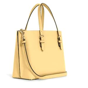 COACH Mini Mollie Tote 25 Crossbody Bag (Vanilla)