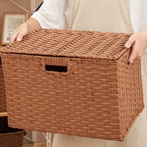 Zerodeko Rattan Storage Basket with Lid Woven Shelf Baskets Imitation Handwoven Wicker Basket Sundries Organizer Boxes Home Decor for Makeup Clothes Home Items