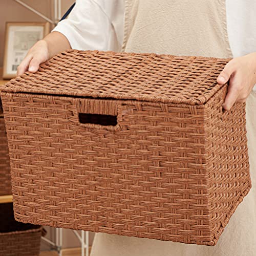 Zerodeko Rattan Storage Basket with Lid Woven Shelf Baskets Imitation Handwoven Wicker Basket Sundries Organizer Boxes Home Decor for Makeup Clothes Home Items