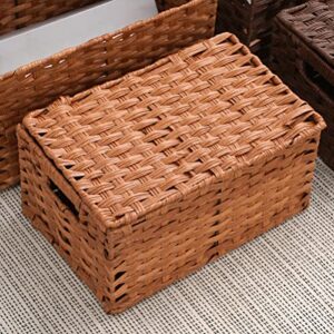 Zerodeko Rattan Storage Basket with Lid Woven Shelf Baskets Imitation Handwoven Wicker Basket Sundries Organizer Boxes Home Decor for Makeup Clothes Home Items