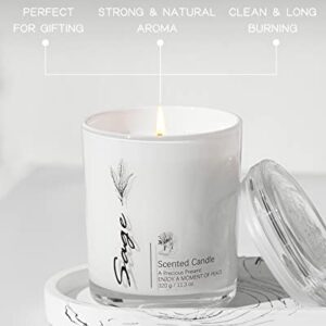 Sage Candles for Cleansing House Negative Energy, Alternative to Smudge Sticks, 22.6 OZ Sage Candles for Home Scented, Sage Smudge Candles for Meditation, Home Cleansing, Smudge Rituals, Pack of 2