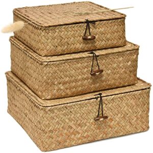ticyack straw storages baskets with lid, hand-woven of seagrass square storage bins, for desktop home decoration (s/m/l)