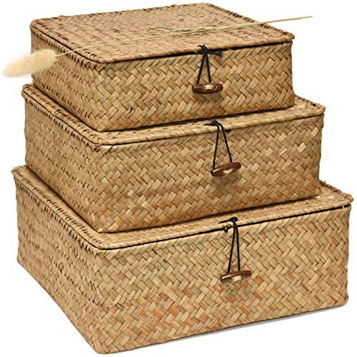 TICYACK Straw Storages Baskets With Lid, Hand-Woven of Seagrass Square Storage Bins, for Desktop Home Decoration (S/M/L)