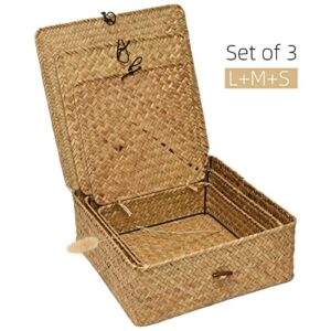 TICYACK Straw Storages Baskets With Lid, Hand-Woven of Seagrass Square Storage Bins, for Desktop Home Decoration (S/M/L)