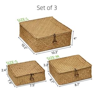 TICYACK Straw Storages Baskets With Lid, Hand-Woven of Seagrass Square Storage Bins, for Desktop Home Decoration (S/M/L)