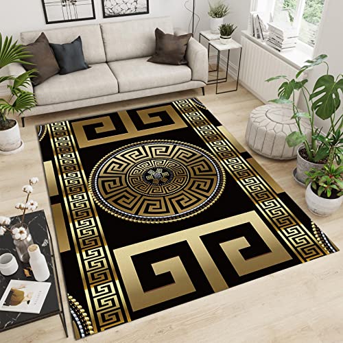 Retro Black Gold Greek Key Meander Area Rugs 3D Geometric Gold PrintEntryways Mat Fluffy Soft Machine Washable Breathable Durable for Room Living Room Indoor Outdoor Hallway, 3ft x 4ft