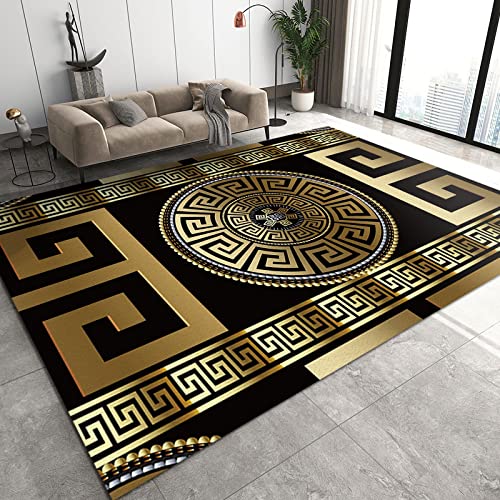 Retro Black Gold Greek Key Meander Area Rugs 3D Geometric Gold PrintEntryways Mat Fluffy Soft Machine Washable Breathable Durable for Room Living Room Indoor Outdoor Hallway, 3ft x 4ft