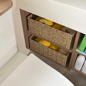 StorageWorks Seagrass Storage Baskets