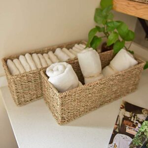 StorageWorks Seagrass Storage Baskets