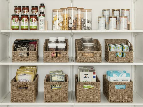 StorageWorks Seagrass Storage Baskets