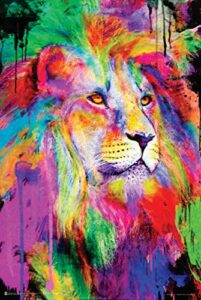 rainbow king by aimee stewart – non-flocked blacklight poster 24″ x 36″