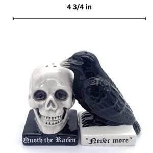 Rustix Quoth The Raven Ceramic Gothic Halloween Decor Cute skull Horror Salt and Pepper Shaker Set Scary Spooky and witchy Gift Fall Season Decor for Kitchen