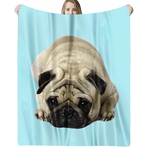 Pug Throw Blanket Measure 40 x 50 Inches, Super Soft Flannel Blanket Fade Resistant for Bed and Couch(Blue,60x80)