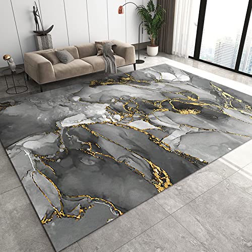 Gray White Gradient Marble Decorative Rug, Golden Texture Light Luxury Indoor Carpet, Large Non-Slip Soft Fluffy Thickened for Living Room Bedroom Office Study Boy Girl Hallway 4 x 6ft