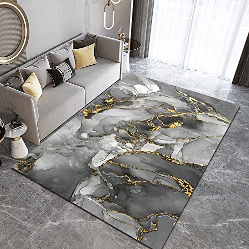 Gray White Gradient Marble Decorative Rug, Golden Texture Light Luxury Indoor Carpet, Large Non-Slip Soft Fluffy Thickened for Living Room Bedroom Office Study Boy Girl Hallway 4 x 6ft