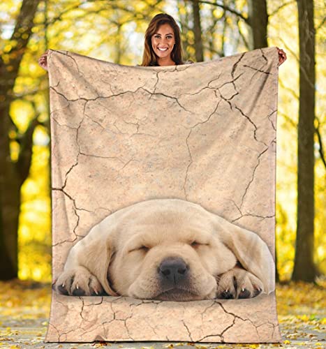 SATIGI Cute Face Labrador Fleece Blanket Cute Labrador Blanket Dog Print Fleece Blanket Fluffy Throw Blanket for Adults, Women,Baby,Kids for Sofa Bed Holiday Birthday Thanksgiving Gifts