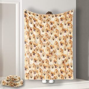 soulzzz pomeranian throw blanket fuzzy cute puppy dog flannel blanket throw plush animal pattern dog blanket twin for bed couch carrier travel 2-piece blanket 30×40 inches & 60×80 inches