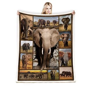 juirnost elephant blanket wild elephant gifts for women men elephant throw blankets for couch bed sofa travelling camping elephant decor animal lover blanket soft plush reversible blanket 50″ x60″