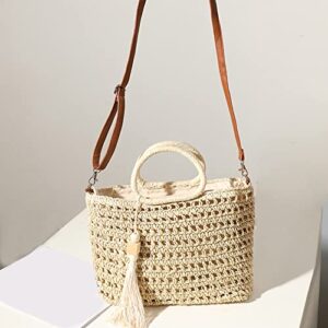 Women Summer Beach Bag Tassel Hollow Large Capacity Shoulder Bag Handmade Woven Bag Portable Messenger Bag (Color : C)