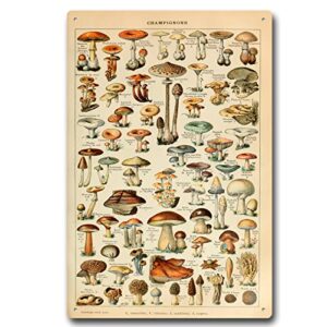 vintage mushrooms metal sign different mushroom species identification reference by adolphe millot antiqued tin sign for bedroom living room classroom 8 x 12 inch