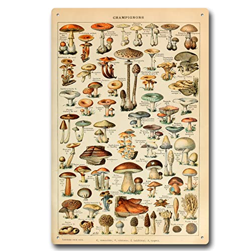 Vintage Mushrooms Metal Sign Different Mushroom Species Identification Reference By Adolphe Millot Antiqued Tin Sign for Bedroom Living Room Classroom 8 x 12 Inch