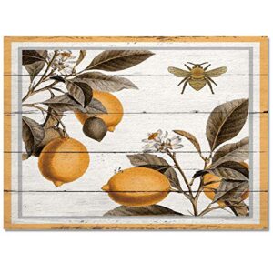 2'x 3' Farm Bee Summer Fruit Watercolor Wood Grain Area Rug, Outdoor Indoor Washable Carpet Area+Rug for Living Room, Kids/Boys/Girls Bedroom, Bathroom, Classroom, Kitchen, Hallway, Throw Floor Mat