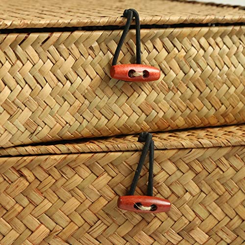 FEILANDUO Shelf Baskets with Lids Wicker Storage Baskets for Shelves Organizing Natural Seagrass Rattan Woven Organizer Boxes Boho Home Decor Set of 2 (Natural)