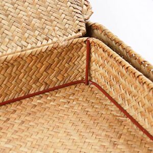 FEILANDUO Shelf Baskets with Lids Wicker Storage Baskets for Shelves Organizing Natural Seagrass Rattan Woven Organizer Boxes Boho Home Decor Set of 2 (Natural)