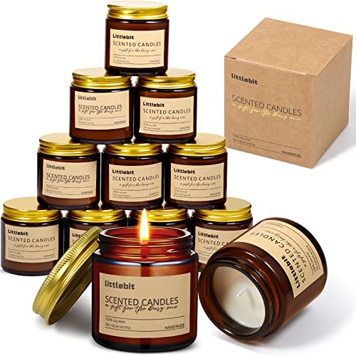 12 Pack Scented Candles Gifts for Women Men Aromatherapy Candle Bulk Soy Candles Gift Amber Jar Candles for Home Scented Stress Relief Relaxing Candle Gift Set