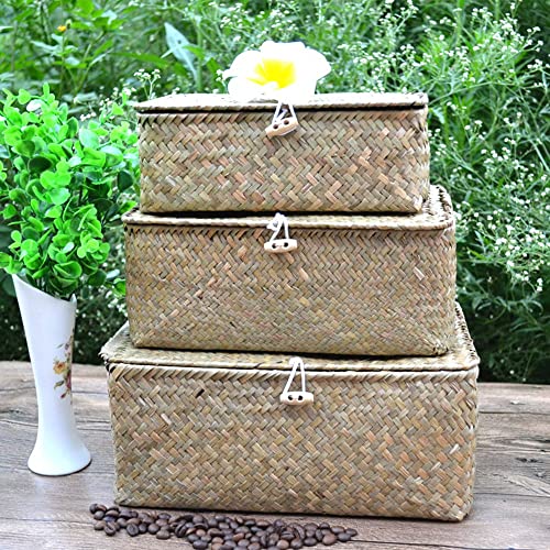 Seaweed Storage Basket Handwoven Storage Box with Lid Cosmetic Storage Box Laundry Basket Wicker Basket Storage Basket Box Wicker(L,Natural)