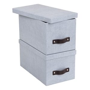 Bigso Silvia Organizational Storage Box | Photo Storage Box with Leather Handle for Shelves and Stacks Easily | Durable and Decorative Storage Boxes with Lids (Ash / 2 Pack)