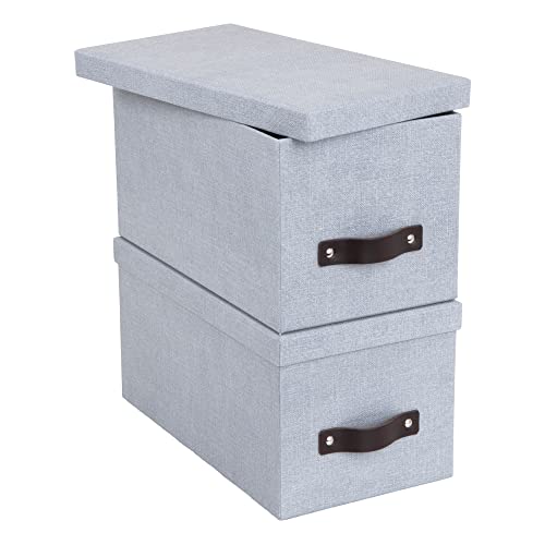 Bigso Silvia Organizational Storage Box | Photo Storage Box with Leather Handle for Shelves and Stacks Easily | Durable and Decorative Storage Boxes with Lids (Ash / 2 Pack)