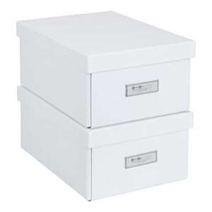 bigso karin collapsible storage box | photo storage box with labelframe for identification | simple assembly without tools | decorative storage boxes with lids | 8.9″ x 12.4″ x 5.4″ | 2 pack | white