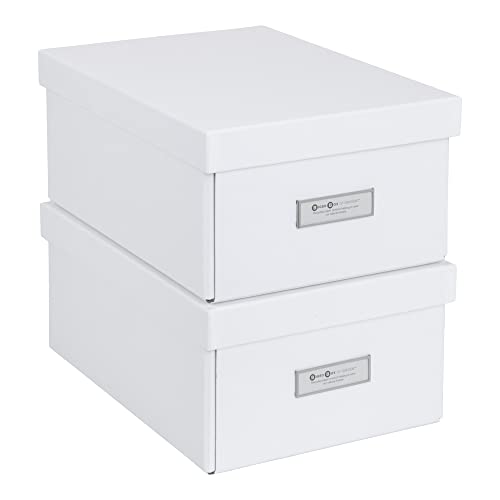 Bigso Karin Collapsible Storage Box | Photo Storage Box with Labelframe for Identification | Simple Assembly without Tools | Decorative Storage Boxes with Lids | 8.9″ x 12.4″ x 5.4″ | 2 Pack | White