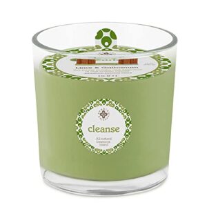 root candles scented spa candles seeking balance® 2-wick handcrafted aromatherapy candle, 12-ounce, cleanse: lime + galbanum