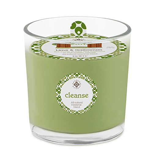 Root Candles Scented Spa Candles Seeking Balance® 2-Wick Handcrafted Aromatherapy Candle, 12-Ounce, Cleanse: Lime + Galbanum