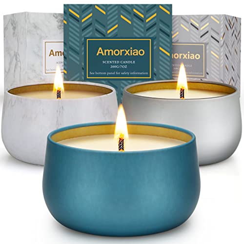 Candles Gifts for Women Men Family Unique 2023, 3 Pack Scented Candles Gifts Set, 21 oz 120 Hour Burn Soy Candles for Home Scented, Long Lasting Aromatherapy Candles Birthday Gift for Girlfriend