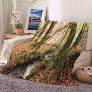 Musihy Soft Throw Blankets for Couch, Short Throw Blanket Green Blanket Streams and Trees Soft Blankets Double Bed 71"x79"