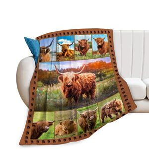 highland cow throw blanket highland cow animal plush blanket gifts for girls women adults highland cattle fleece blanket soft cozy warm cow blanket decor for couch bed dorm sofa 40”x50”