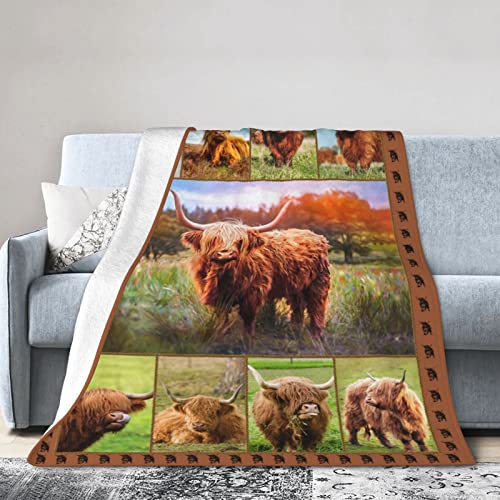 Highland Cow Throw Blanket Highland Cow Animal Plush Blanket Gifts for Girls Women Adults Highland Cattle Fleece Blanket Soft Cozy Warm Cow Blanket Decor for Couch Bed Dorm Sofa 40''X50''