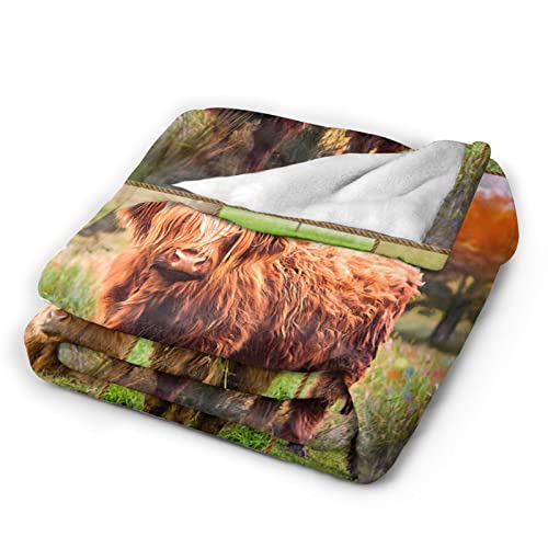 Highland Cow Throw Blanket Highland Cow Animal Plush Blanket Gifts for Girls Women Adults Highland Cattle Fleece Blanket Soft Cozy Warm Cow Blanket Decor for Couch Bed Dorm Sofa 40''X50''