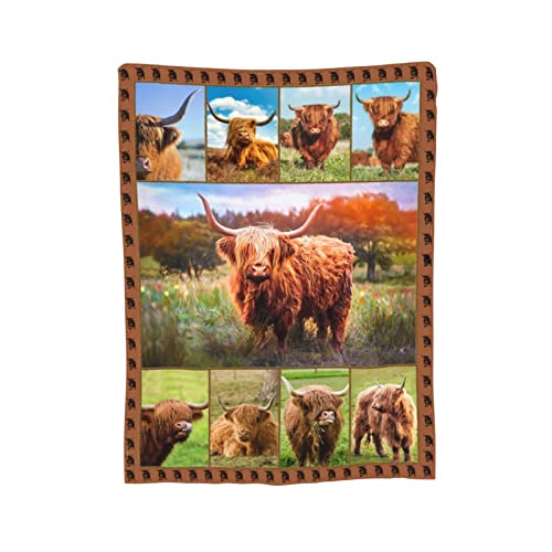 Highland Cow Throw Blanket Highland Cow Animal Plush Blanket Gifts for Girls Women Adults Highland Cattle Fleece Blanket Soft Cozy Warm Cow Blanket Decor for Couch Bed Dorm Sofa 40''X50''