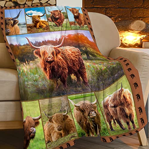 Highland Cow Throw Blanket Highland Cow Animal Plush Blanket Gifts for Girls Women Adults Highland Cattle Fleece Blanket Soft Cozy Warm Cow Blanket Decor for Couch Bed Dorm Sofa 40''X50''