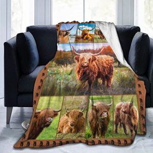 Highland Cow Throw Blanket Highland Cow Animal Plush Blanket Gifts for Girls Women Adults Highland Cattle Fleece Blanket Soft Cozy Warm Cow Blanket Decor for Couch Bed Dorm Sofa 40''X50''