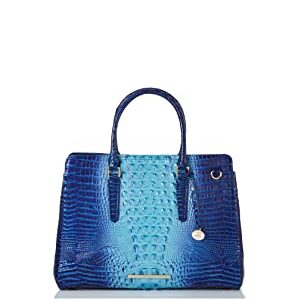 Affinity Ombre Melbourne Finley Carryall