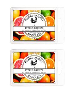 citrus breeze – scented wax warmer melt cubes – 2 pack combo – 100% all american made – by farm raised candles – natural american farmed soy wax