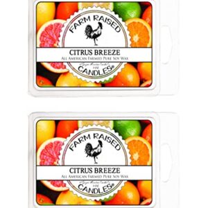 Citrus Breeze - Scented Wax Warmer Melt Cubes - 2 Pack Combo - 100% All American Made - by Farm Raised Candles - Natural American Farmed Soy Wax